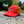 DMRC Orange 5-Panel Hat