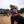 DMRC Summer Weight Neck Gaiter - Black Topo