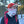 Local Legend Neck Gaiter