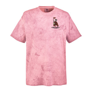 Local Legend - Color Blast Clay