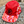 DMRC Party Leaves 5-Panel Hat